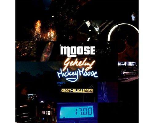 Moose - Geheling / Mickey Moose