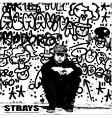 Moses Concas - Strays