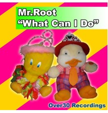 Mr.Root - What Can I Do