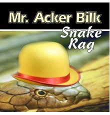 Mr. Acker Bilk - Snake Rag