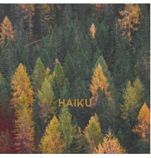 Mr. Chiru - HAIKU