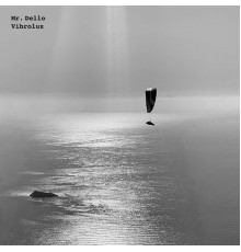 Mr. Dello - Vibrolux (Original Mix)