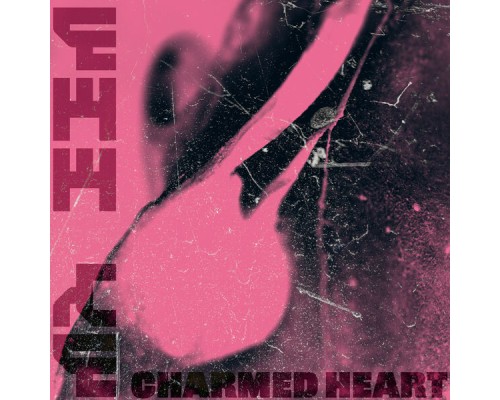 Mr EEM - Charmed Heart