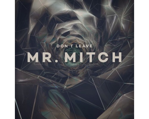 Mr. Mitch - Don't Leave