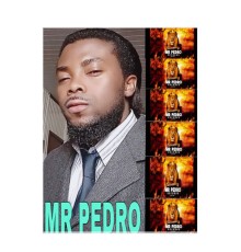 Mr Pedro - THE NEW REVOLUTION