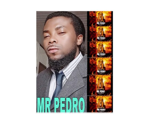 Mr Pedro - THE NEW REVOLUTION