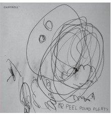 Mr Peel - Pound Plenty