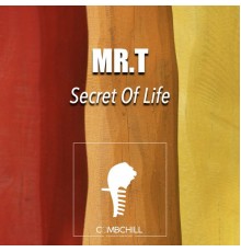 Mr. T - Secret of Life