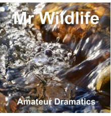 Mr Wildlife - Amateur Dramatics