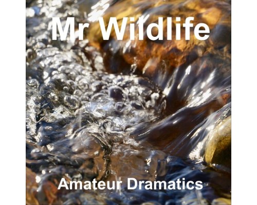 Mr Wildlife - Amateur Dramatics