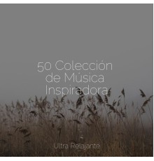 Música para Dormir Con Relajantes Sonidos de la Naturaleza, Música Zen Relaxante, Cascada de Lluvia - 50 Colección de Música Inspiradora