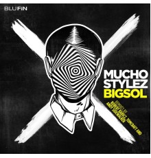 Mucho Stylez - Bigsol