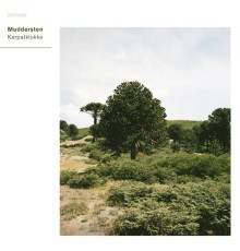 Muddersten - Karpatklokke