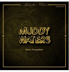 Muddy Waters - Soon Forgotten