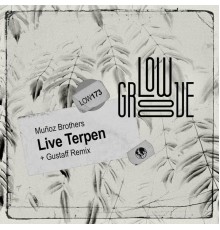 Muñoz Brothers - Live Terpen