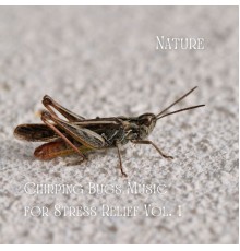 Music For Stress Relief, Relaxed Minds, Ambient Music Bliss - Nature: Chirping Bugs Music for Stress Relief Vol. 1