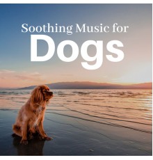 Music for Dogs Collective - Soothing Music for Dogs CD - Puppy & Dog Relaxation Songs for Separation Anxiety