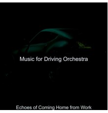 Music for Driving Orchestra - Echoes of Coming Home from Work