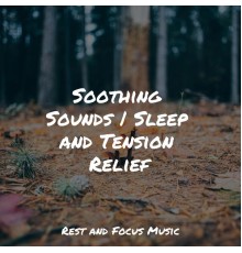 Musica Reiki, Brain Study Music Guys, Meditation Awareness - Soothing Sounds | Sleep and Tension Relief