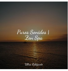 Musica Relajante, Naturaleza Relajacion, Sueño Profundo - Puros Sonidos | Zen Spa
