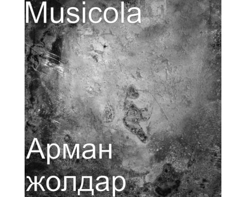 Musicola - Арман Жолдар