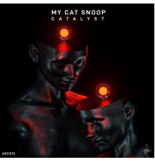 My Cat Snoop - Catalyst