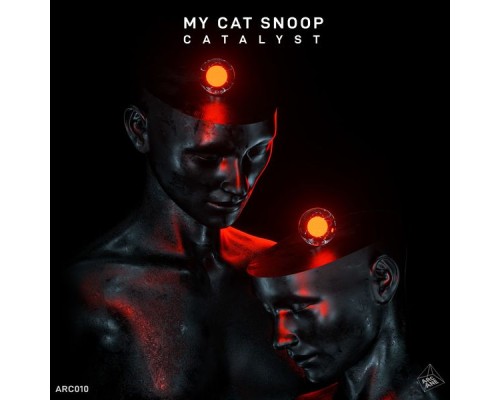 My Cat Snoop - Catalyst