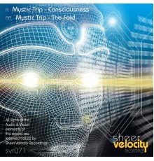 Mystic Trip - Consciousness / The Fold