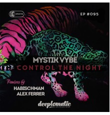 Mystik Vybe - Control The Night