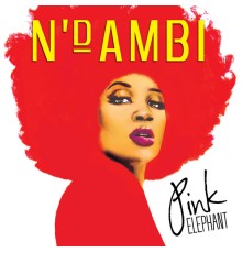 N'Dambi - Pink Elephant (Album Version)