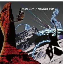 NANIWA EXP - THIS is IT!