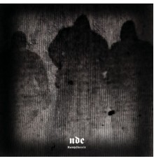 NDE - Kampfbereit