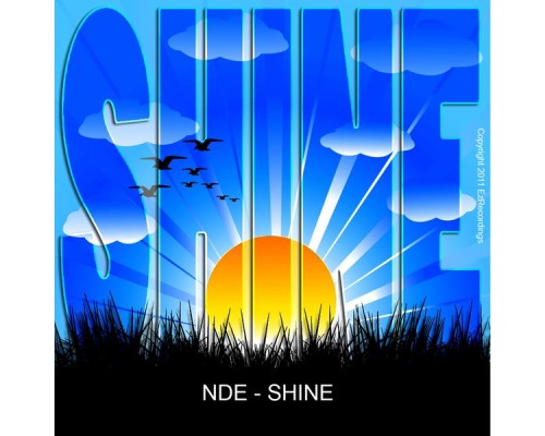 NDE - Shine