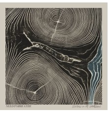 NEEDTOBREATHE - Rivers in the Wasteland