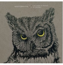 NEEDTOBREATHE - Live From the Woods (Live From the Woods)