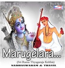 N.R.P. Ravichandran - Marugelara  (Instrumental)