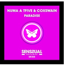 NUMA A TFIVE, Coxswain - Paradise