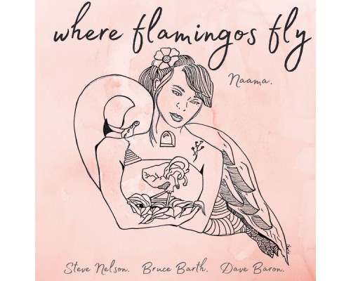 Naama - Where Flamingos Fly