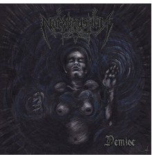 Nachtmystium - Demise