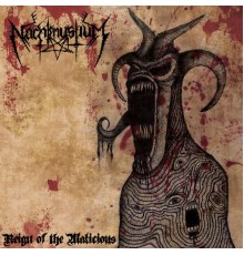 Nachtmystium - Reign of the Malicious