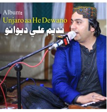 Nadeem Ali Deewano and Panhwar Movies - Unjaro Aa He Dewano