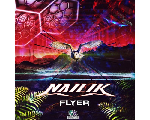 Nailik - Flyer