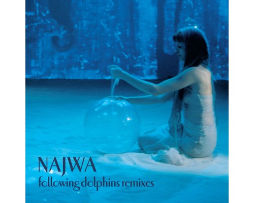 Najwa - Following Dolphins Remixes