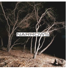 Narrows - Narrows