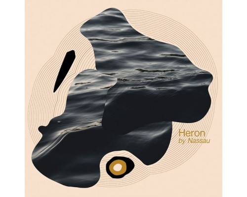 Nassau - Heron