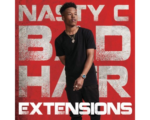 Nasty C - Bad Hair Extensions