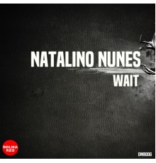 Natalino Nunes - Wait (Original Mix)