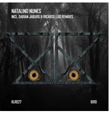 Natalino Nunes - Bird