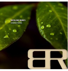 Natalino Nunes - Vibrations (Original Mix)