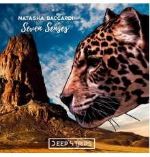 Natasha Baccardi - Seven Senses